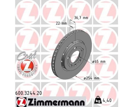 Brake Disc COAT Z 600.3244.20 Zimmermann