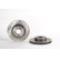 Brake Disc COATED DISC LINE 09.9481.21 Brembo