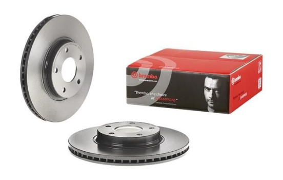 Brake Disc COATED DISC LINE 09.A113.11 Brembo, Image 2