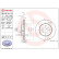 Brake Disc COATED DISC LINE 09.A116.11 Brembo, Thumbnail 3