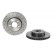 Brake Disc COATED DISC LINE 09.A613.51 Brembo