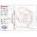 Brake Disc COATED DISC LINE 09.A961.11 Brembo, Thumbnail 2