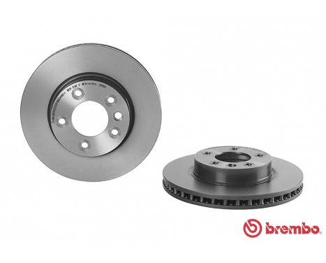 Brake Disc COATED DISC LINE 09.C881.11 Brembo, Image 2