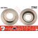 Brake Disc DF1953 TRW