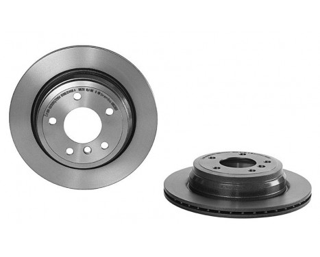 Brake Disc TWO-PIECE DISCS LINE 09.C393.13 Brembo