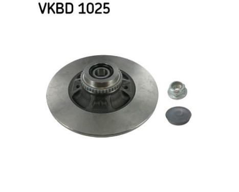 Brake disc VKBD 1025 SKF