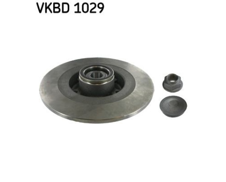 Brake disc VKBD 1029 SKF