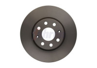 DRIVING BRAKE DISC