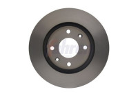 DRIVING BRAKE DISC