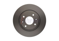 DRIVING BRAKE DISC