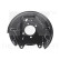 Brake support plate, Thumbnail 2