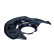 Cover plate, brake disc
