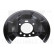 Splash Panel, brake disc