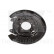 Splash Panel, brake disc