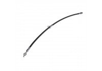 Brake Hose ADT353181 Blue Print