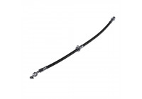 Brake Hose ADT353193 Blue Print