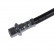 Brake Hose ADT353391 Blue Print, Thumbnail 2
