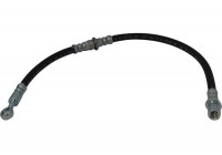 Brake Hose BBH-8006 Kavo parts