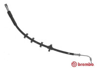 Brake hose