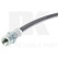 Brake Hose, Thumbnail 2