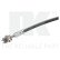 Brake Hose, Thumbnail 2