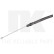 Cable, parking brake, Thumbnail 2