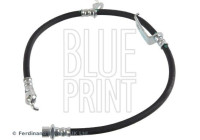 brake hose ADBP530022 Blue Print