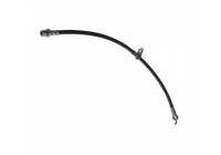 Brake Hose ADT353165 Blue Print