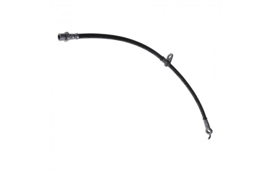 Brake Hose ADT353165 Blue Print