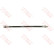 Brake Hose PHB289 TRW