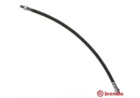 Brake hose