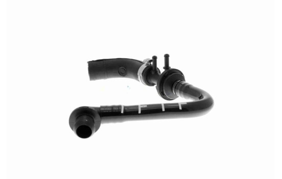 Vacuum Hose, braking system Q+, original equipment manufacturer quality, Image 4