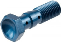 Hollow Screw, brake line MCH951B TRW