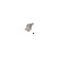 master cylinder, Thumbnail 3
