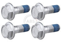 Accessory Kit, disc brake pad