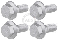 Accessory Kit, disc brake pad