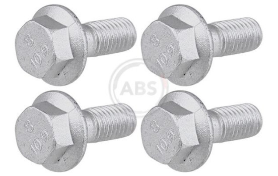 Accessory Kit, disc brake pad