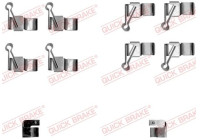 Accessory kit, disc brake pad