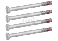 Accessory Kit, disc brake pad