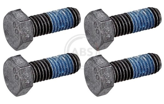 Accessory Kit, disc brake pad