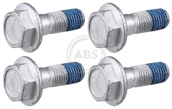Accessory Kit, disc brake pad