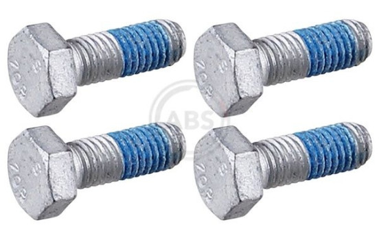 Accessory Kit, disc brake pad