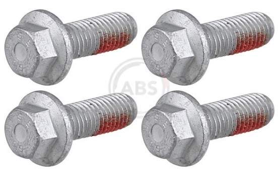 Accessory Kit, disc brake pad