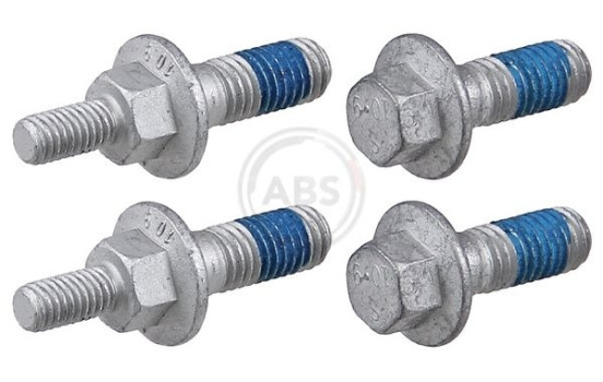 Accessory Kit, disc brake pad