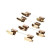 Accessory set, disc brake pad