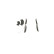 Brake Pad Set, disc brake BP1281 Bosch, Thumbnail 4