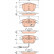 Brake Pad Set, disc brake COTEC GDB1762 TRW, Thumbnail 2