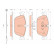 Brake Pad Set, disc brake GDB1889 TRW, Thumbnail 2