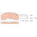 Brake Pad Set, disc brake PROEQUIP GDB5092 TRW, Thumbnail 2