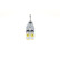 Brake Power Regulator